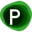 Logo Paula Visser Werkt!