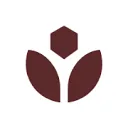 Logo Vitality Experience