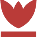 Logo Estrafidus