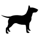 Logo iizt