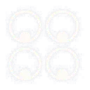 Logo Nederlands Instituut voor Praxeologie
