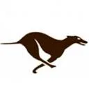 Logo Greyhound Sneltransport