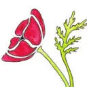 Logo Studio Klaproos
