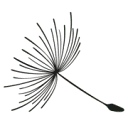 Logo Beweeg AND Bloei
