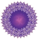 Logo I Am Yoga