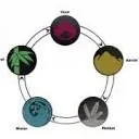 Logo Touch For Balance