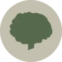 Logo Olaf Nijenkamp Groothandel Tuinplanten BV