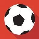 Logo S.V. DRC