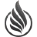 Netfly logo