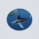 Logo Black Marlin Consultancy en Training