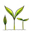 Logo Improve Your Tomorrow