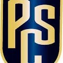 Logo Premium Car Storage