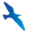 Logo Prima Vista