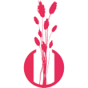 Logo Quality Colors B.V.