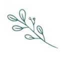 Logo Weeldebras
