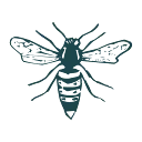 Logo Olischlager BV Plaagdierbestrijding