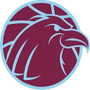 Logo Arnhem Eagles Basketbalvereniging