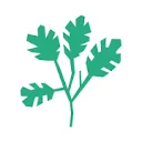 Logo van Stichting Jouw Dagelijkse Kost