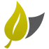 Logo AVN Opleidingen