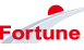 Logo Fortune Energy Distributions NE B.V.