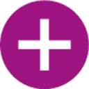 Logo van nes AND plaisier