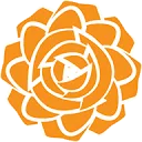 Logo Dutch Rose Media