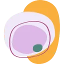 Logo ZUIVER verloskundigen