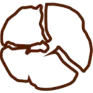 Van Velze's Chocolates logo