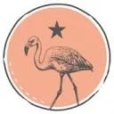 Logo Club of All-Stars