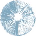 Logo Microdosing Institute