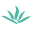 Logo Smartwhip