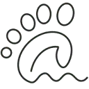 Logo van Fins AND Feet Nature Tours