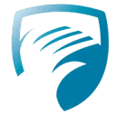 Logo SOMT University of Physiotherapy