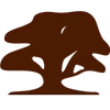Logo van Traject Parket