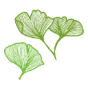 Logo van Hoveniersbedrijf de Ginkgo