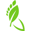 Logo Powerwalk Bergen op Zoom