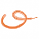 Logo Stichting AURO