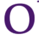 Logo Obvious Management Consulting B.V.