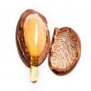 Logo the Argan Farmer