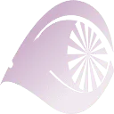 Logo Van Essen Optiek optometrie AND orthoptie