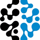 Logo LANWise