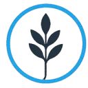 Logo Career and Culture NL Stichting