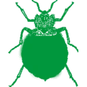 Logo Italiaander BV