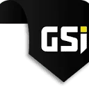 Logo GSI Group
