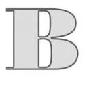 Logo BONTE In AND Outdoor Decoration