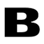 Logo BNT Beveiligingen