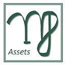 Logo MJ Assets