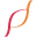 Logo Beyond the Match
