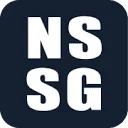 Logo van National Safety Security Group NSSG