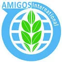 Logo Amigos International Consultancy